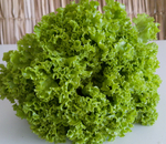Alface crespa
