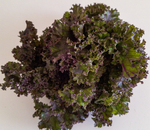 Alface crespa roxa