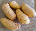 Batata baroa