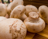 Champignon