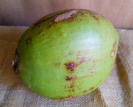 Coco verde