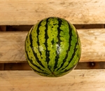 Mini melancia