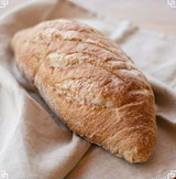 Filone